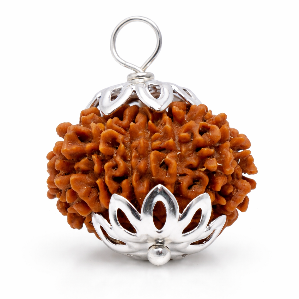 13 Mukhi Rudraksha Bead For Unisex