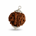 5 Mukhi Rudraksha Beads With Capping For Unisex