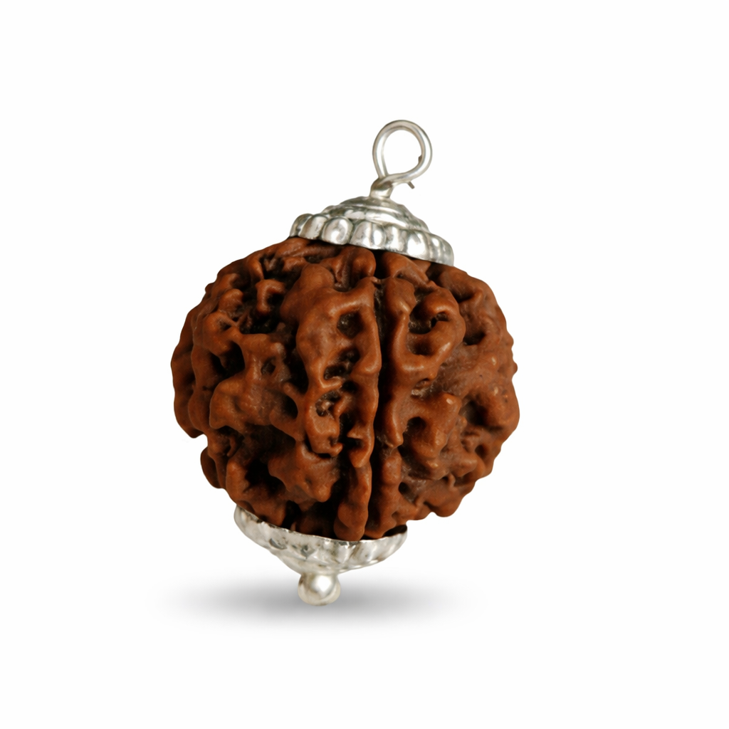 5 Mukhi Rudraksha Beads With Capping For Unisex