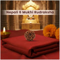 6 Mukhi Nepali Rudraksha For Unisex