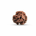 3 Mukhi Nepali Rudraksha For Unisex