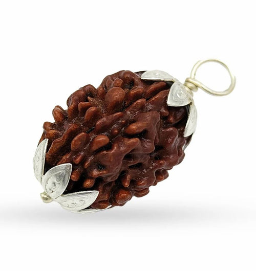 3 Mukhi Nepali Rudraksha For Unisex