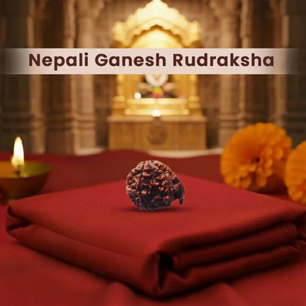 Nepali Ganesh Rudraksha For Unisex