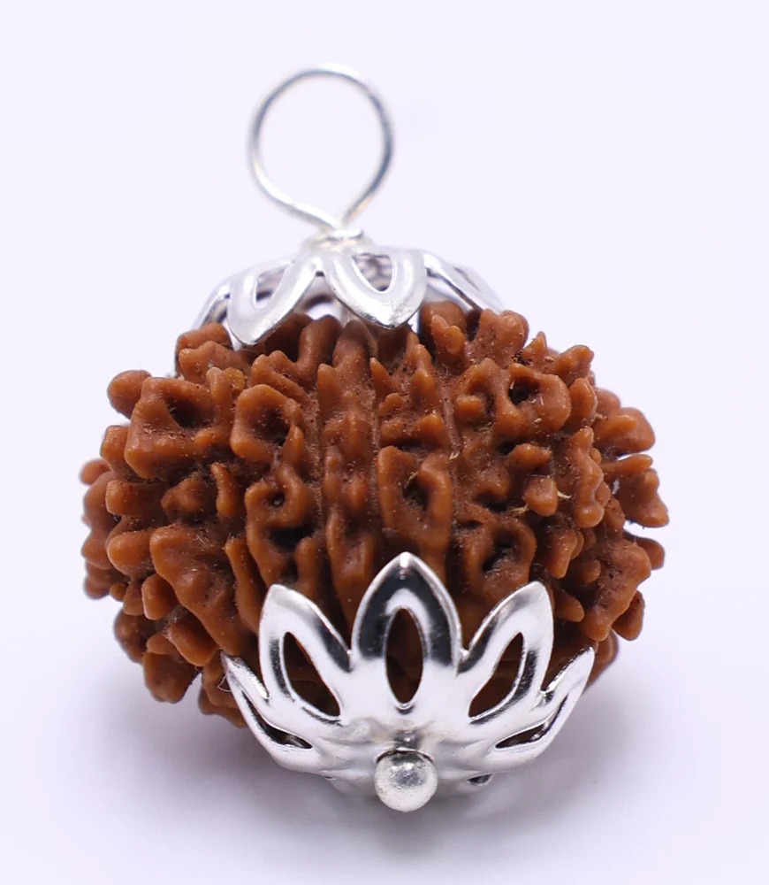 13 Mukhi Rudraksha Bead For Unisex