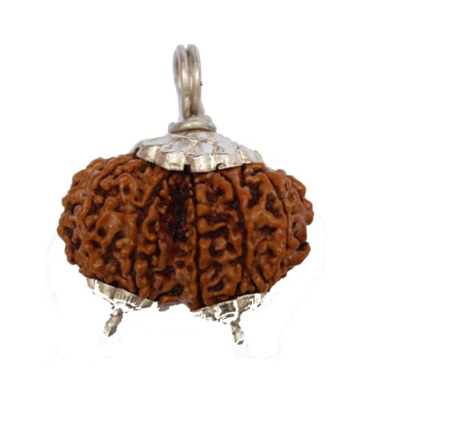Nepali Gauri Shankar Rudraksha For Unisex