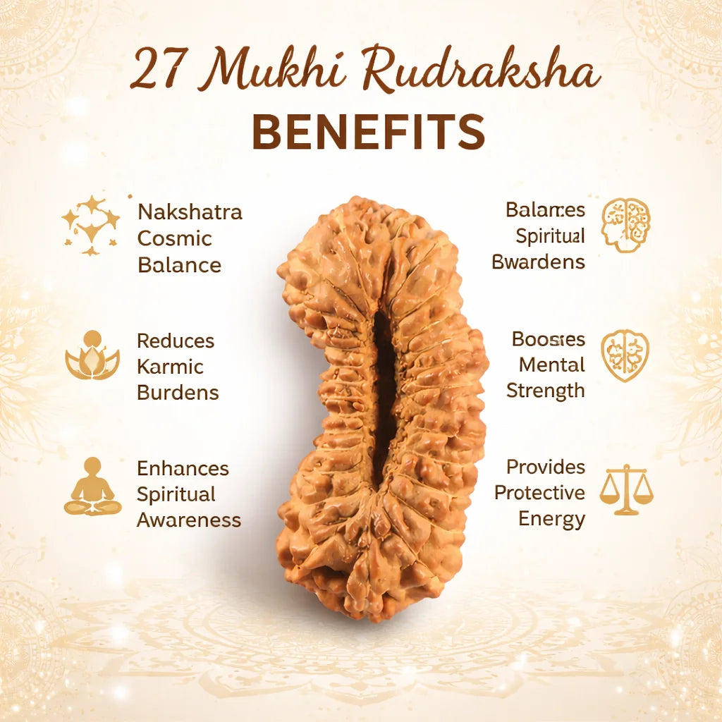 27 Mukhi Nepali Rudraksha (Govt. Lab Certified)
