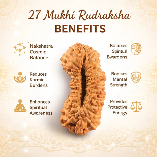 27 Mukhi Nepali Rudraksha (Govt. Lab Certified)