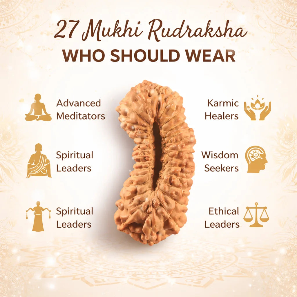 27 Mukhi Nepali Rudraksha (Govt. Lab Certified)