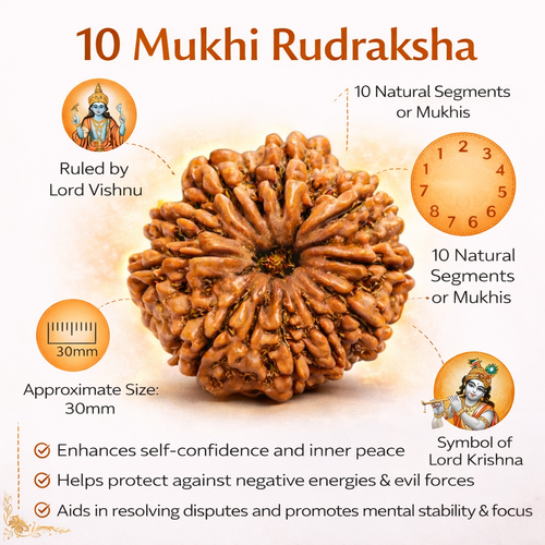 10 Mukhi Nepali Rudraksha (Govt. Lab Certified)