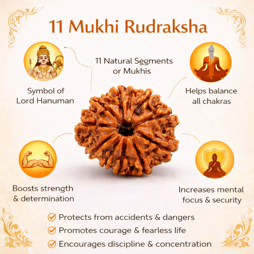 11 Mukhi Nepali Rudraksha (Govt. Lab Certified)