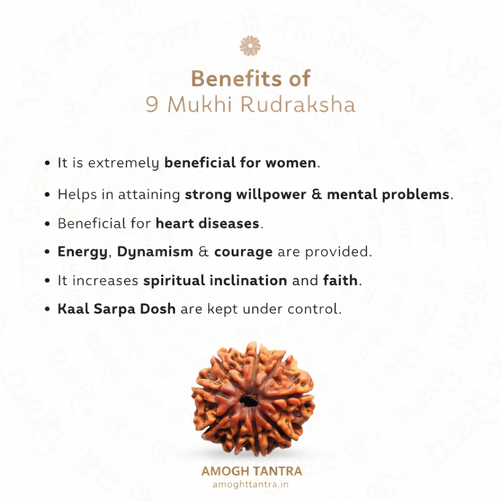 9 Mukhi Rudraksha Bead For Unisex