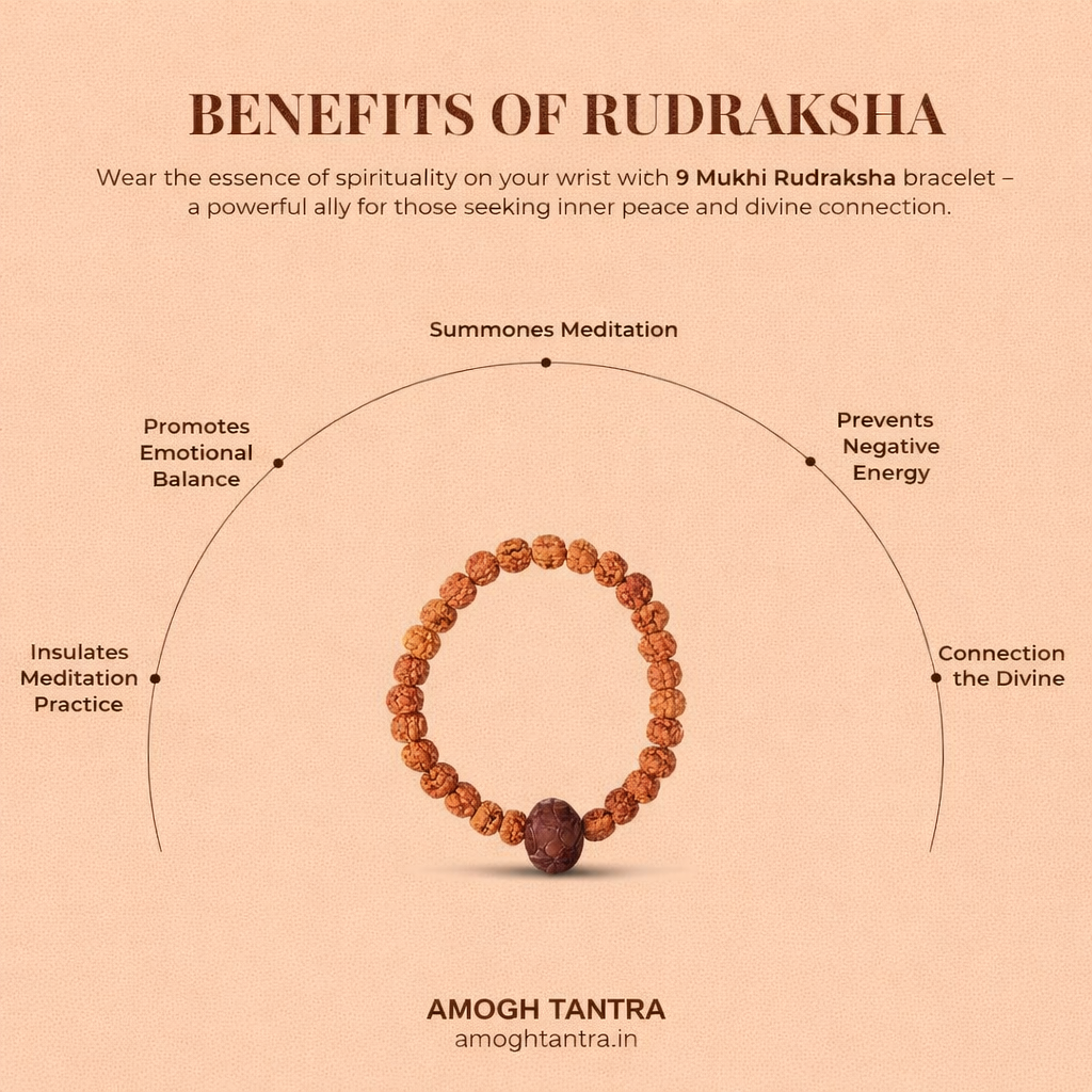 9 Mukhi Rudraksha Bead For Unisex