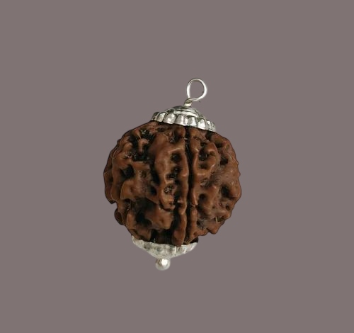 5 Mukhi Rudraksha Beads With Capping For Unisex