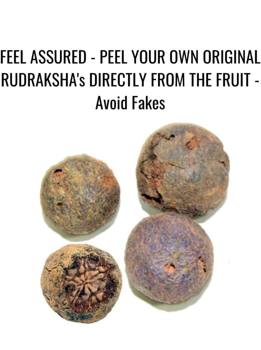 5 Mystery Rudraksha - Rudraksha Fruit - Scratch & Reveal Your Sacred Rudraksha