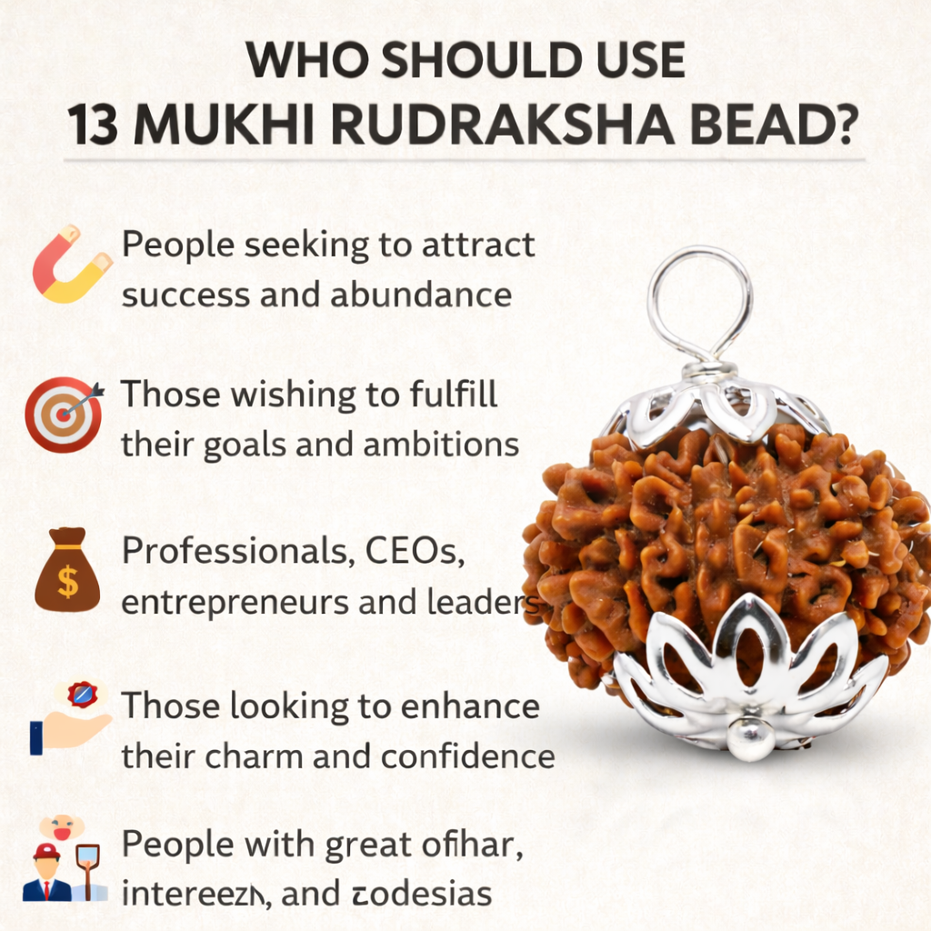 13 Mukhi Rudraksha Bead For Unisex