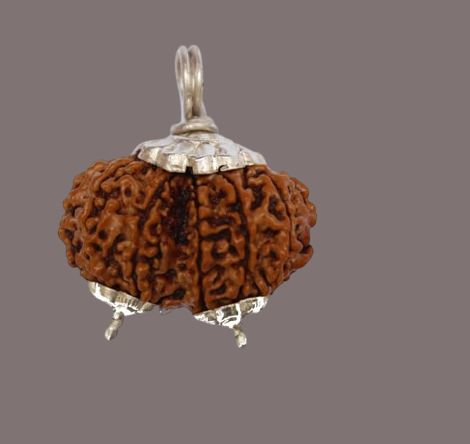 Nepali Gauri Shankar Rudraksha For Unisex